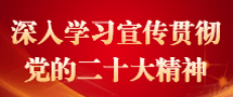 深入學習宣傳貫徹黨的二十大精神